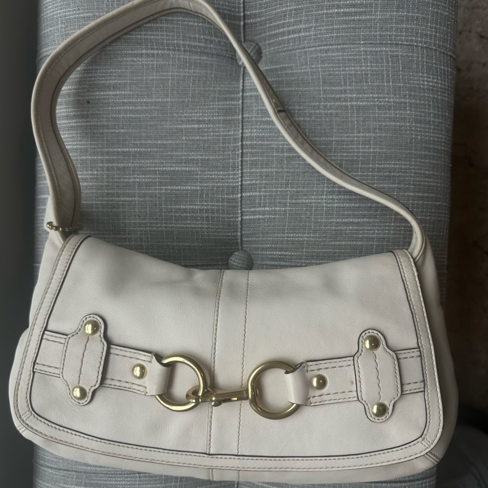Coach Bag (Reserved & in hold)